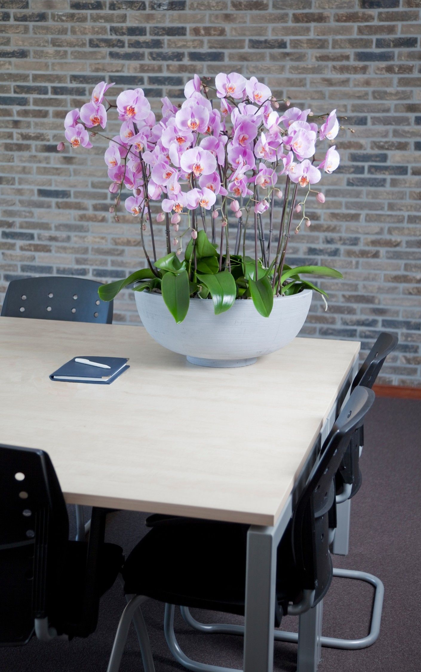 Orchids flowers on office desk