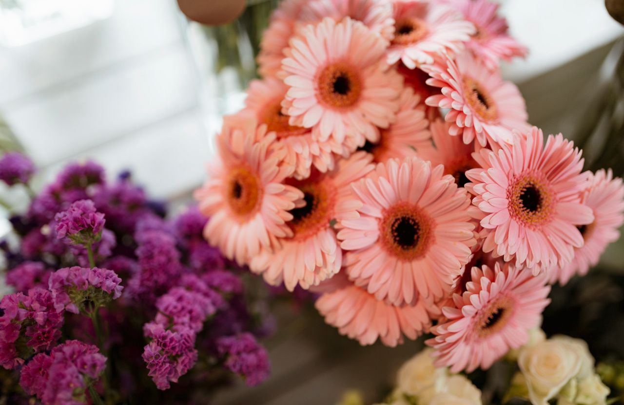 closeup-pink-gerber-daisy-bouquet-purple-statice 1.jpg