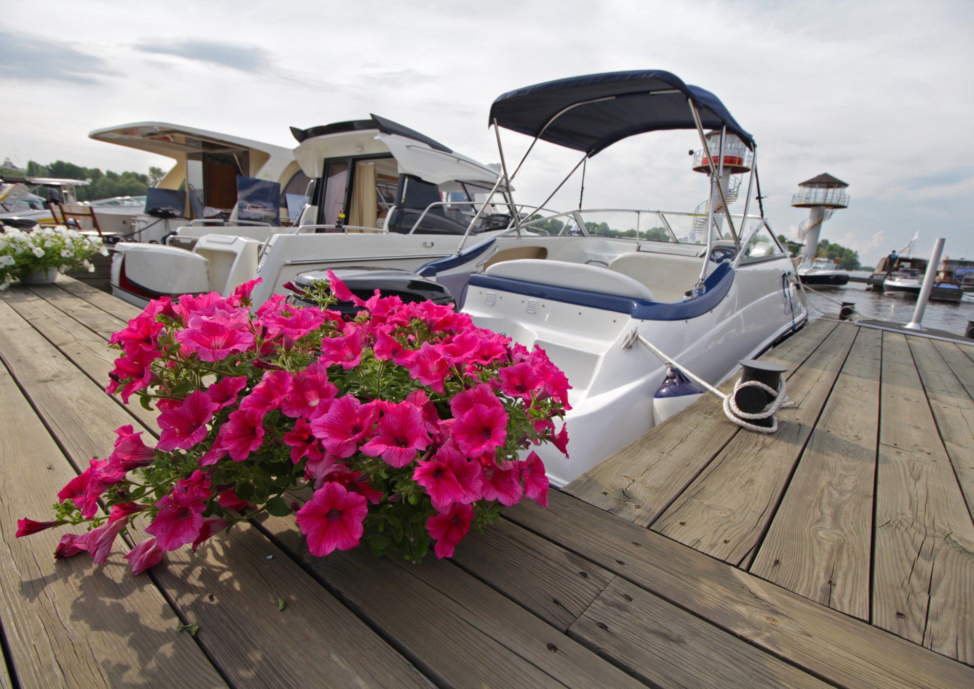 floral arrangement on yacht