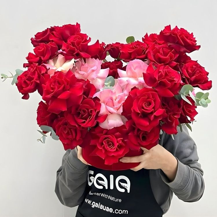 Heart Roses Valentines Day