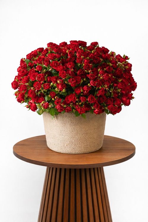 Premium Modern Spray Roses Basket