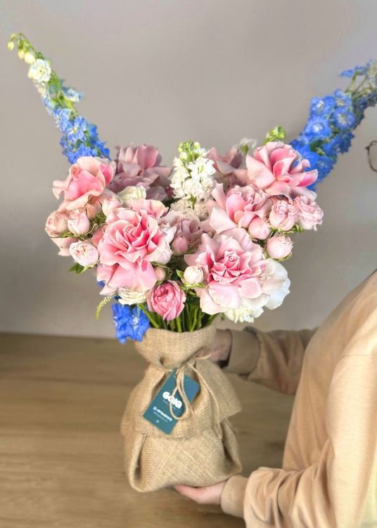 Luxurious Pure White Azure Blue