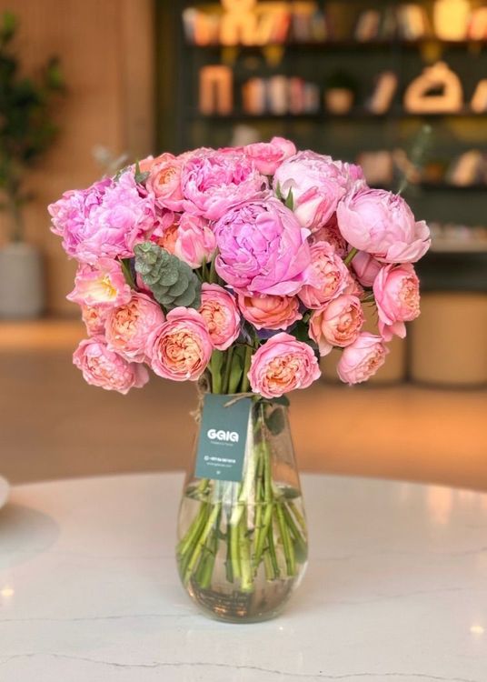 Ultimate Blush Peony Rose Majesty