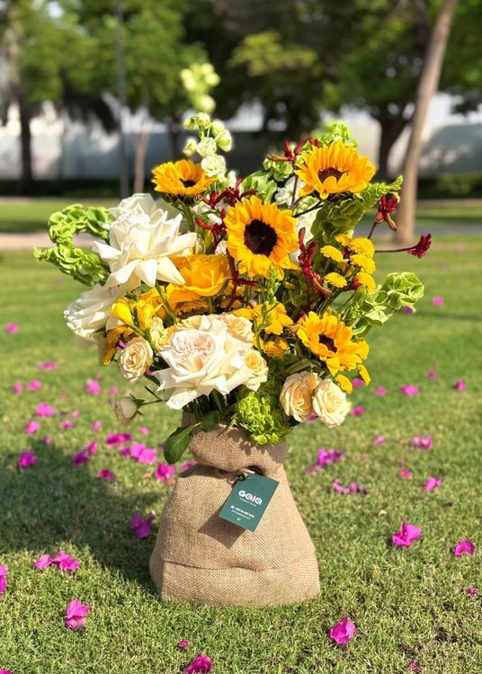 Golden Sunflower White Ohara Rose Symphony