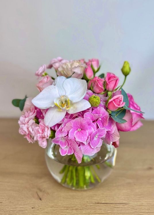 The Divine White Orchid Pink Carnation Symphony