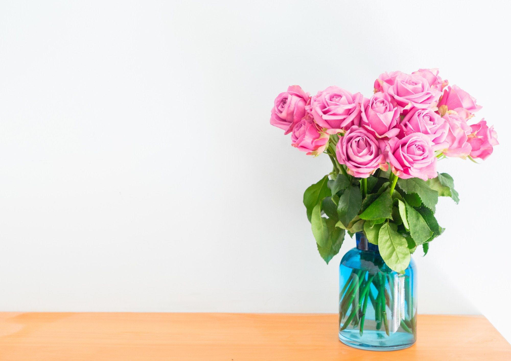 pink flowers