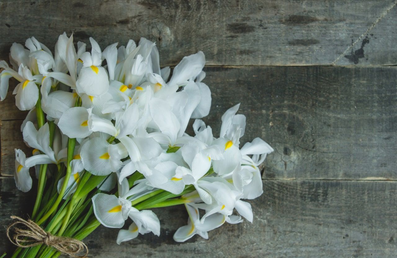 simple-bunch-white-lilies-closed-with-rustic-thread 1-min.jpg