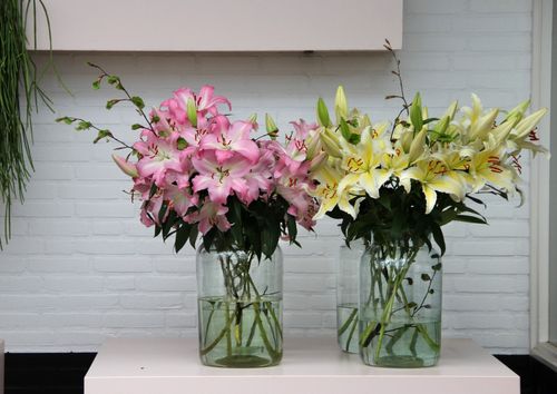 How Our Flower Subscription Service in Dubai Can Save Your Time and Money