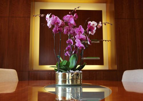 Orchids Flowers is a Perfect Desk Companion To Boost Your Productivity